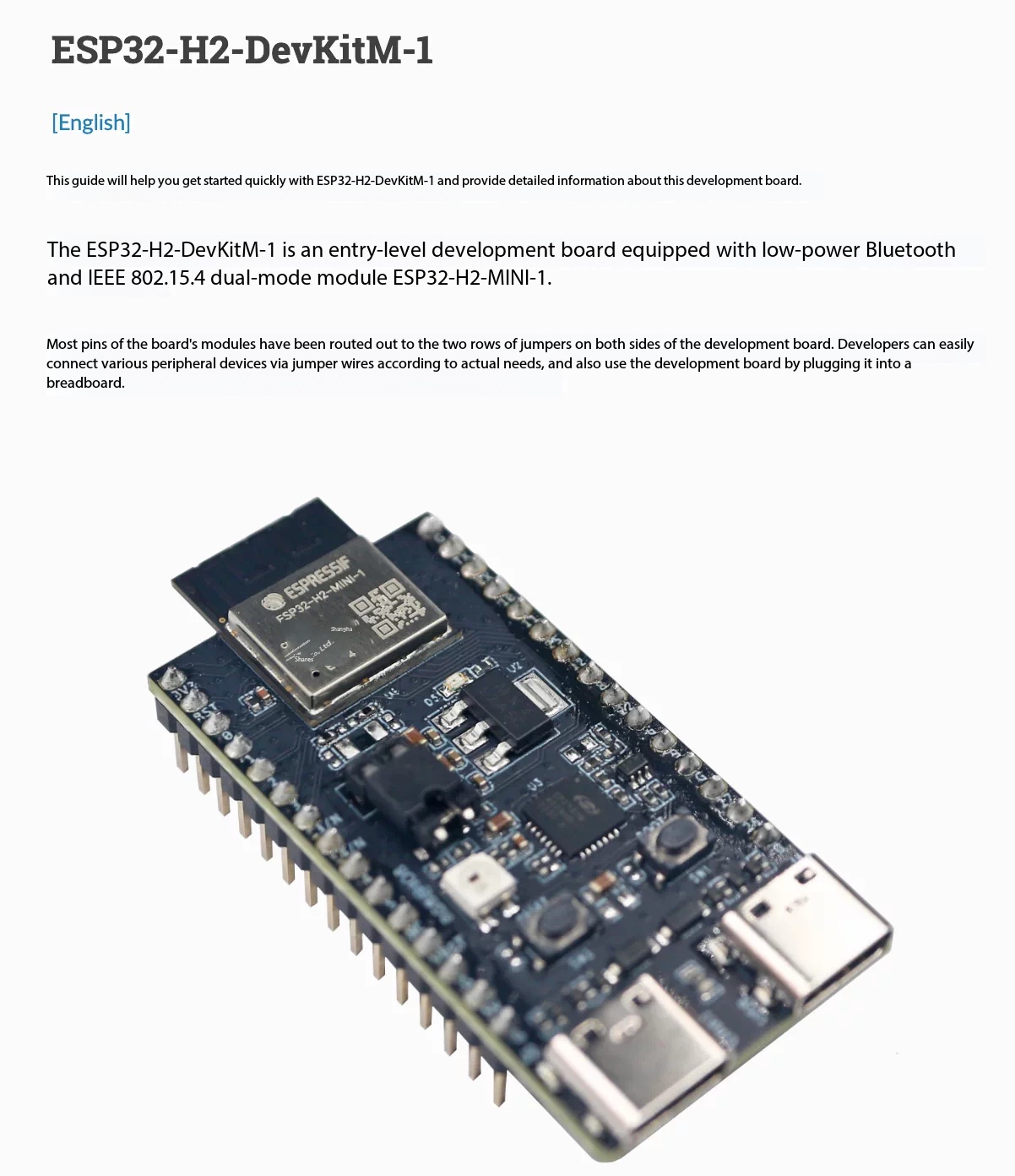 Scheda Espressif ESP32-H2-DevK - Esp32 H2 recensione e prezzo