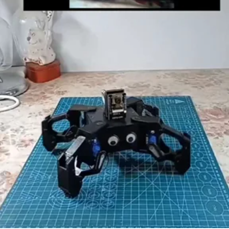 SG90 Video Robot Spider con vi - Esp8266 recensione e prezzo